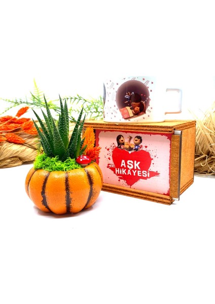 Özel Tasarım Canlı Çiçek Sukulentli Bal Kabağı ve Kupa Seti M3