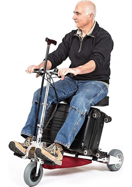 Travelscoot Delux modelleri