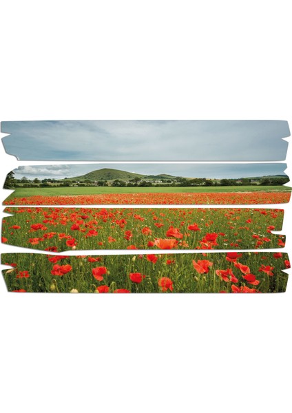 Gelincik Çiçeği Mdf Tablo 0806 (Model E)