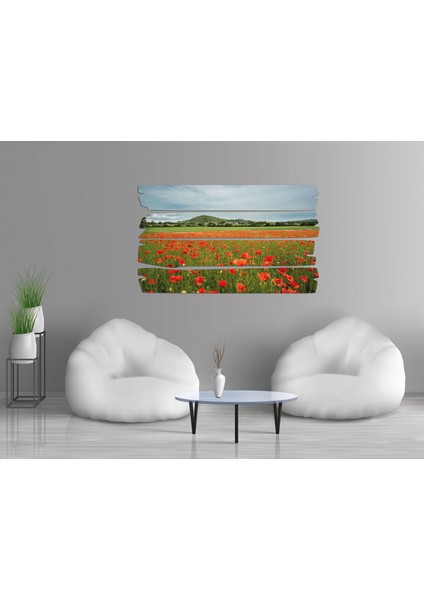 Gelincik Çiçeği Mdf Tablo 0806 (Model E) fiyatları