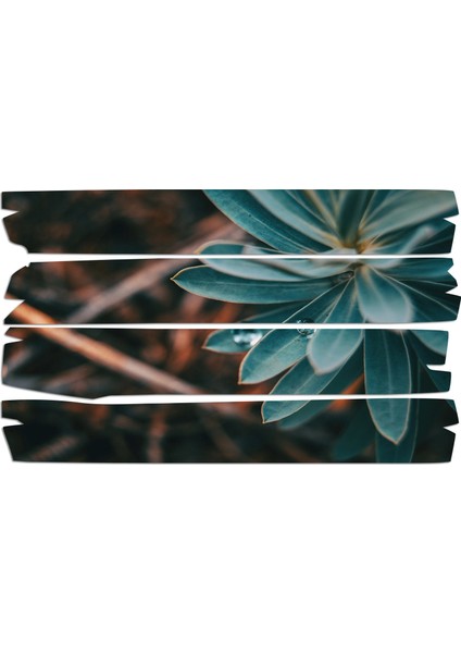 Su Damlası Mdf Tablo 0733 (Model E)