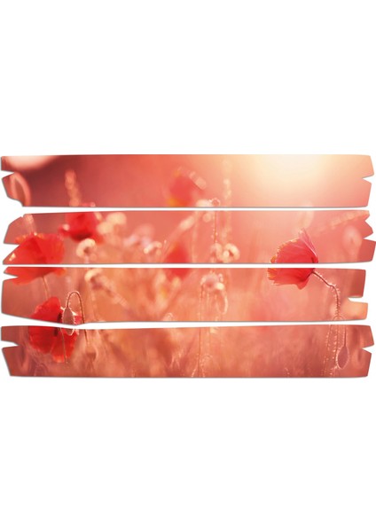 Gelincik Çiçeği Mdf Tablo 0817 (Model E)