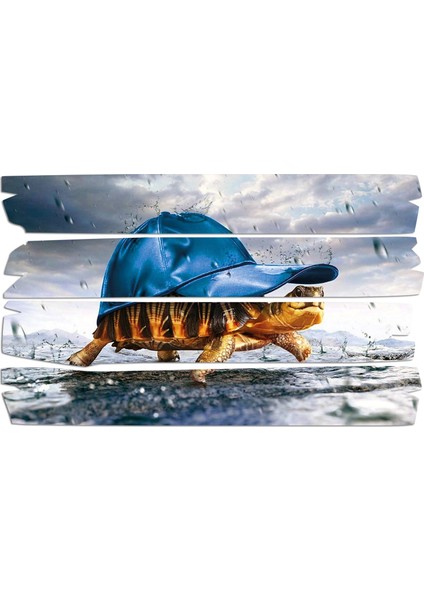 Deniz Kaplumbağası Mdf Tablo 1782 (Model E)