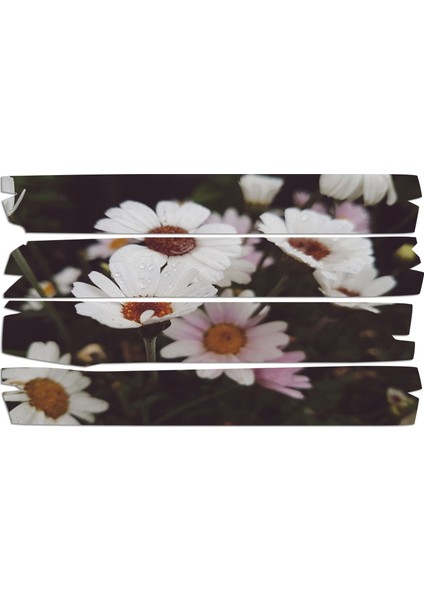 Beyaz Papatya Mdf Tablo 0828 (Model E)