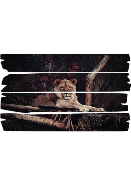 Aslan Mdf Tablo 2353 (Model E)