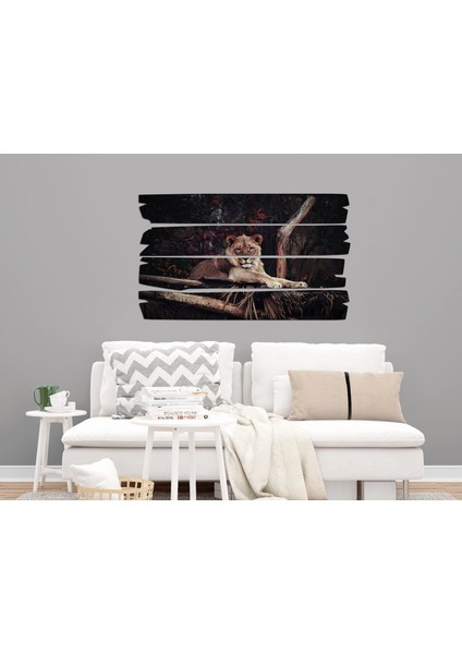 Aslan Mdf Tablo 2353 (Model E)