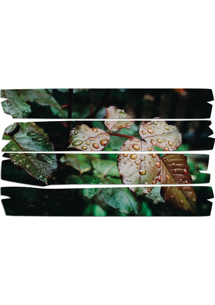 Su Damlası Yapraklar Mdf Tablo 0722 (Model E)