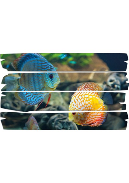 Deniz Altı Balıklar Mdf Tablo 1815 (Model E)