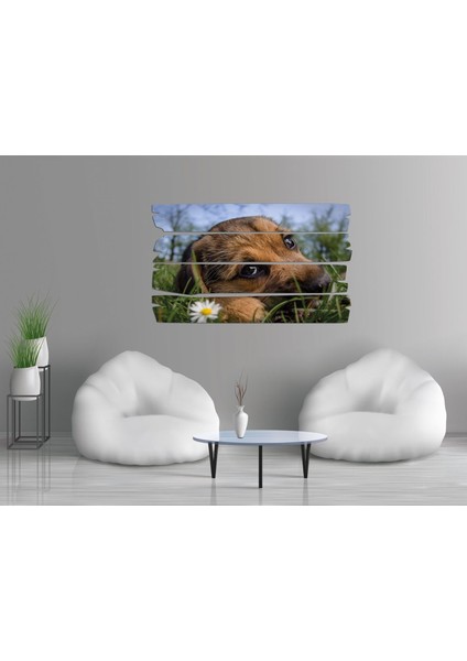 Köpek Mdf Tablo 2656 (Model E) fiyatları