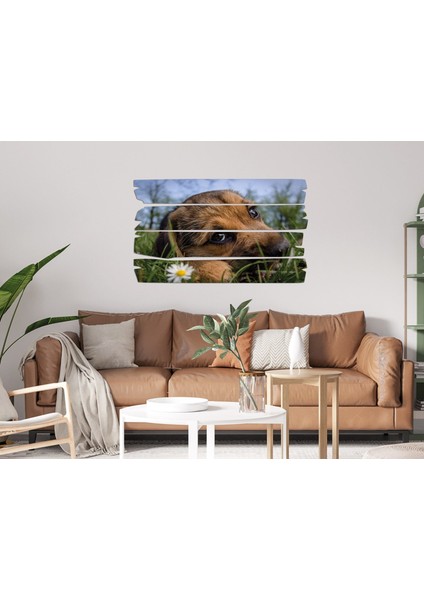 Köpek Mdf Tablo 2656 (Model E) modelleri