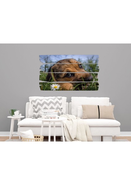 Köpek Mdf Tablo 2656 (Model E) fırsatları