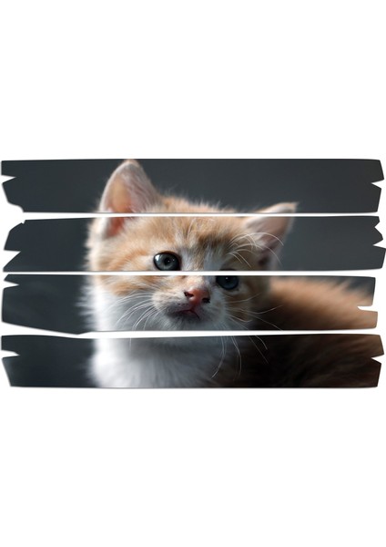 Kedi Mdf Tablo 2569 (Model E)