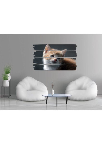 Kedi Mdf Tablo 2569 (Model E)