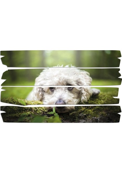 Köpek Mdf Tablo 2654 (Model E)