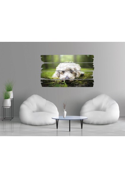 Köpek Mdf Tablo 2654 (Model E) fiyatları