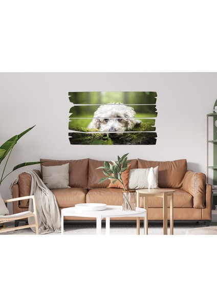 Köpek Mdf Tablo 2654 (Model E) modelleri