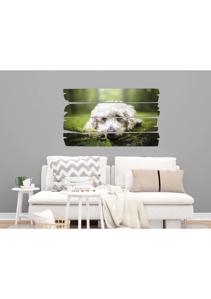 Köpek Mdf Tablo 2654 (Model E) fırsatları