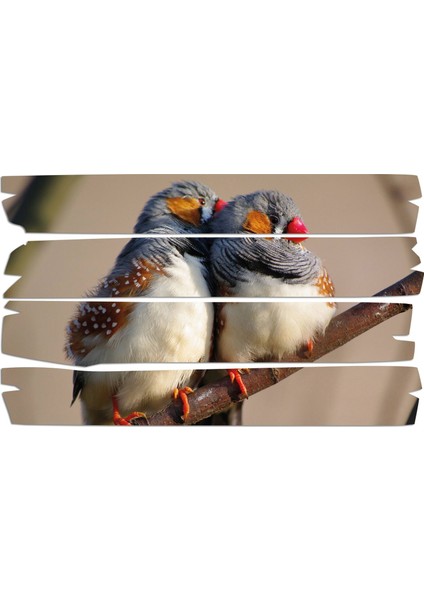 Kuş Mdf Tablo 2694 (Model E)