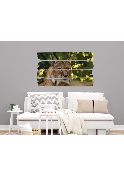 Vaşak Mdf Tablo 2773 (Model E)