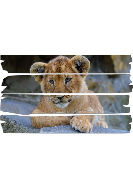 Aslan Mdf Tablo 2357 (Model E)