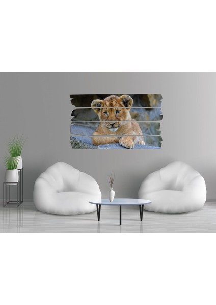 Aslan Mdf Tablo 2357 (Model E)