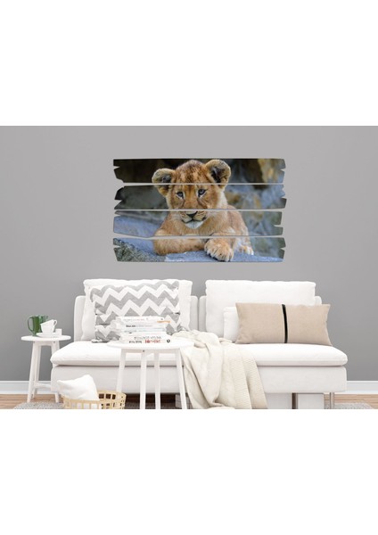 Aslan Mdf Tablo 2357 (Model E)
