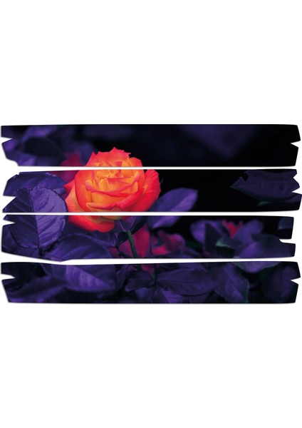 Gül Mdf Tablo 3479 (Model E)