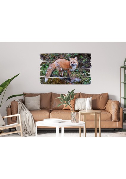 Tilki Mdf Tablo 2735 (Model E)