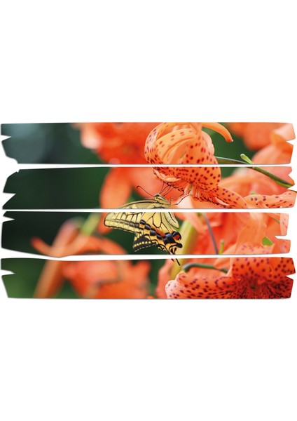 Kelebek Mdf Tablo 2586 (Model E)