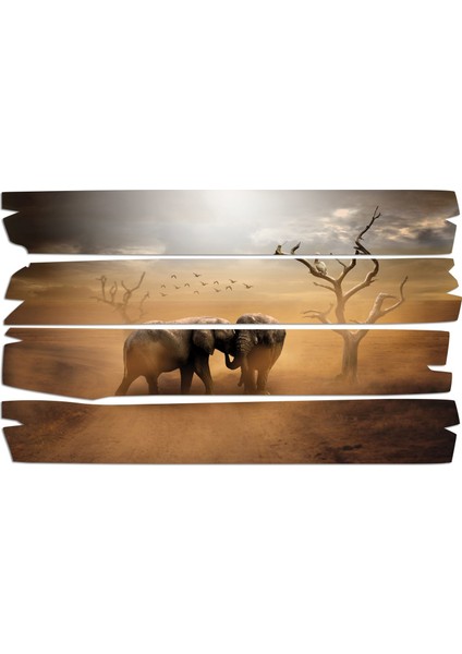 Fil Mdf Tablo 2446 (Model E)