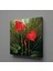 Antoryum Çiçeği Kanvas Tablo 70 x 70 cm 1