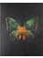 Çizgili Bind-Note Butterfly Yeşil 20 x 25 cm 1