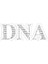 Dna Sticker Araba Oto Arma Duvar Sticker Ev Dekoratif Çıkartma 15 Cm 1
