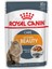 Intense Beauty Soslu Kedi Konservesi 85 gr 2