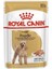 Royal Canin Poodle Yetişkin Pouch Yaş Köpek Maması 85 gr x 12 Adet 1