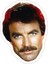 Tom Selleck Sticker Araba Oto Arma Duvar Sticker Ev Dekoratif Çıkartma 15 cm 1