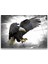 Concept Kartal Cam Tablo 1