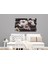 Beyaz Papatya Mdf Tablo 0828 (Model E) 4
