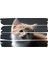 Kedi Mdf Tablo 2569 (Model E) 1