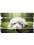 Köpek Mdf Tablo 2654 (Model E) 1