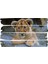 Aslan Mdf Tablo 2357 (Model E) 1