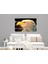 Geometrik Kartal Mdf Tablo 2926 (Model E) 4
