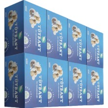 Tüybant Midi Yedek 8'li Tüy Toplayıcı Yedek Rulo Pratik Kedi Köpek Tüy Kıl Toz Toplama Rulosu