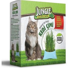 Jungle Kedi Çimi