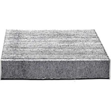 BSG Ford Fiesta/fusion Polen Filtresi 2002-2009 Arası Uyumlu