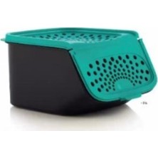 Tupperware Sarımsak Saklama Kabı 2,3 L