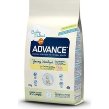 Advance Young Sterilised Tavuklu Kisirlaştirilmiş Genç Kedi Maması 1.5 kg