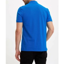 Nacar Store Erkek Polo Yaka Slimfit Basic Tshirt