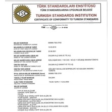 Dalsan Saten Alçı 2 kg Santatek Perdah