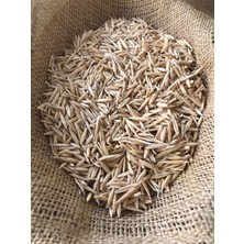 Bahar Tarım Yulaf Tohumu 5 kg